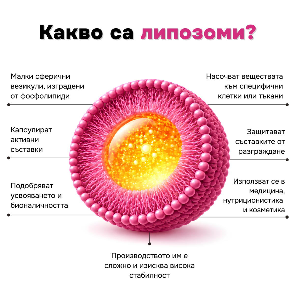 Хранителна добавка Absolute
