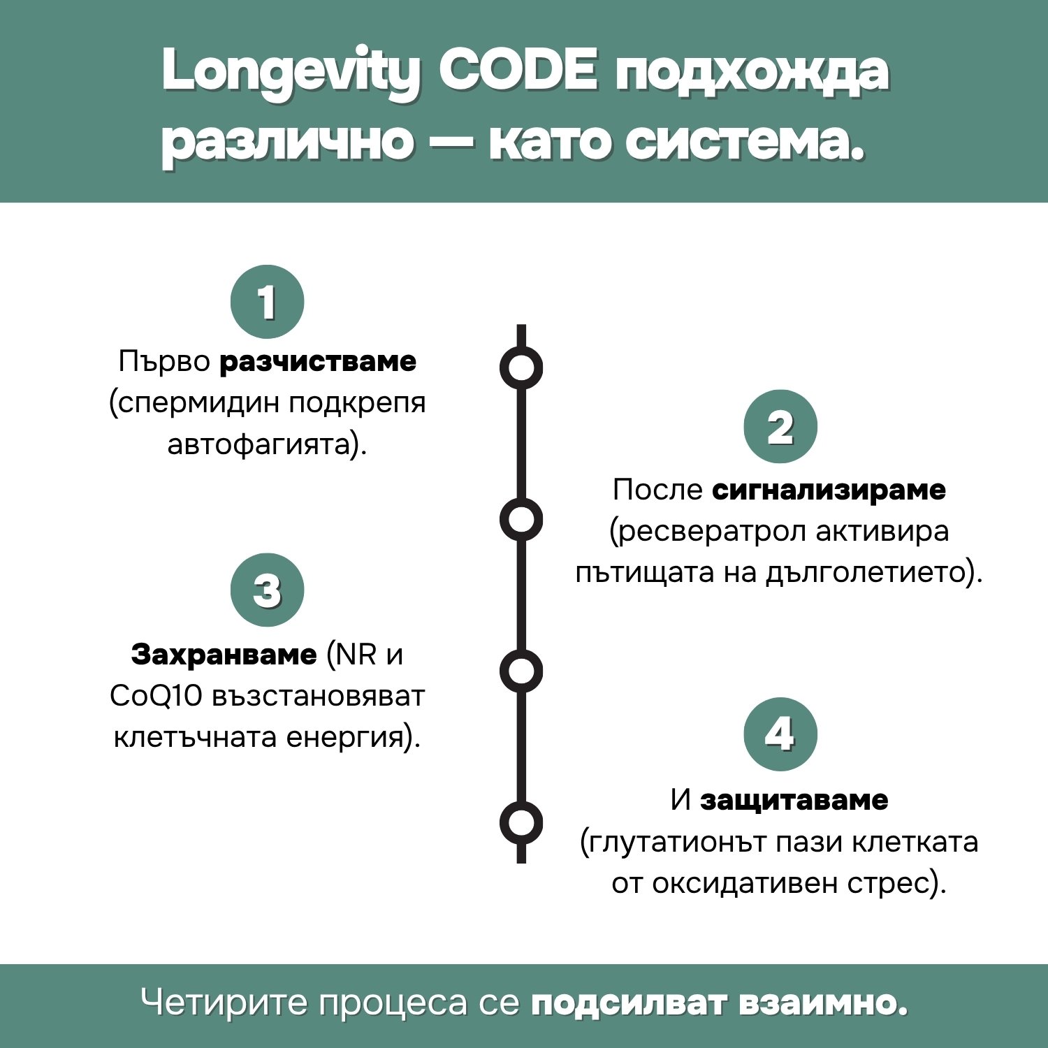 Longevity code - Image 3